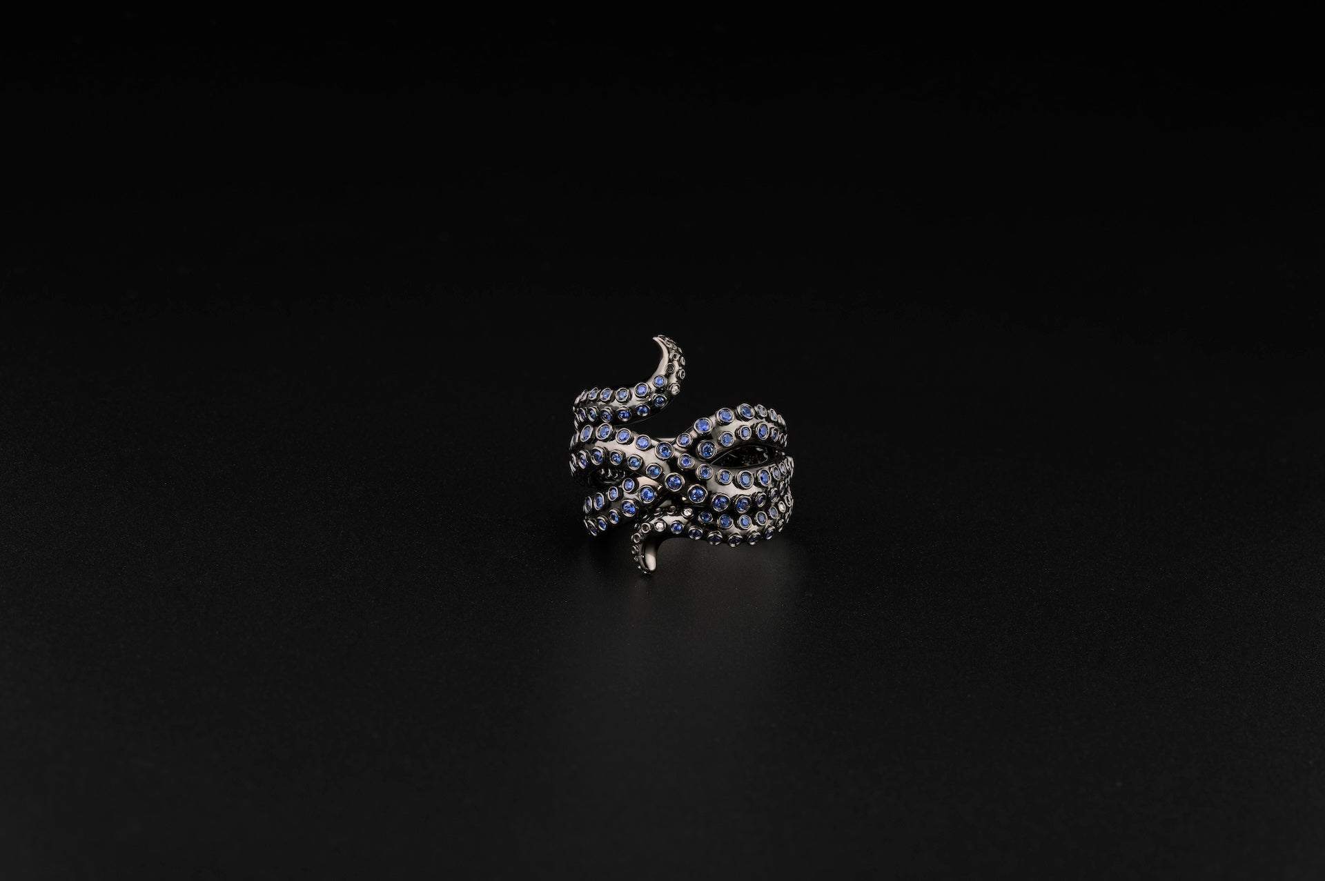 Infinity ring – Zheng Hong Collective