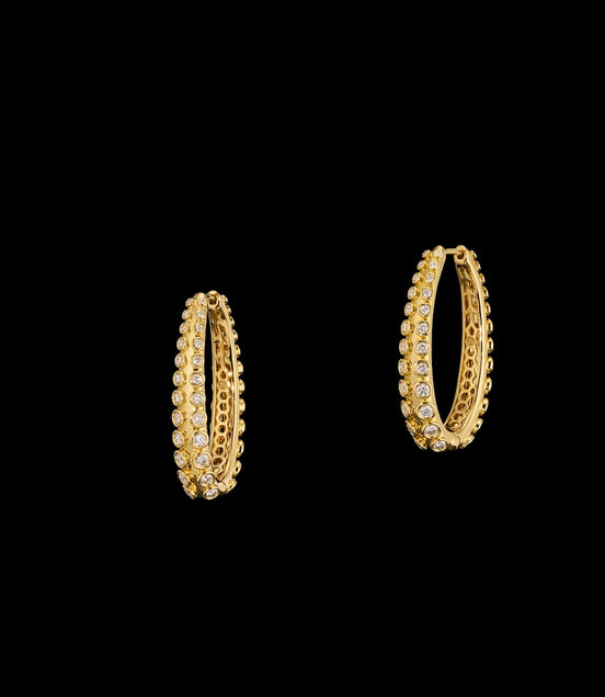 Hoop Earrings